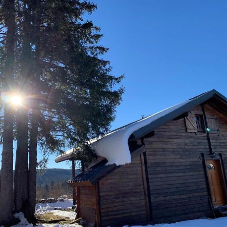 Chalet Du Bois Joli Saint-Laurent-en-Grandvaux Экстерьер фото