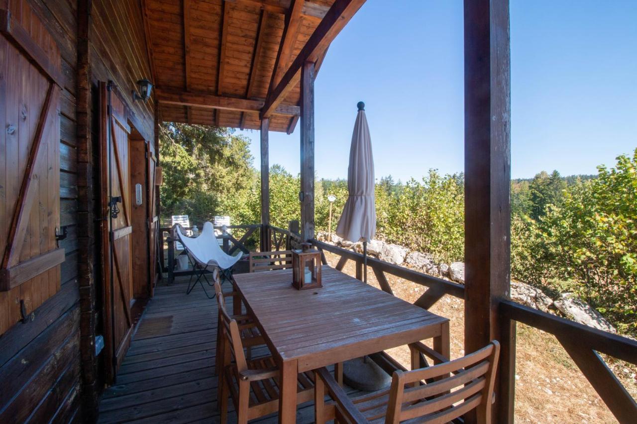 Chalet Du Bois Joli Saint-Laurent-en-Grandvaux Экстерьер фото