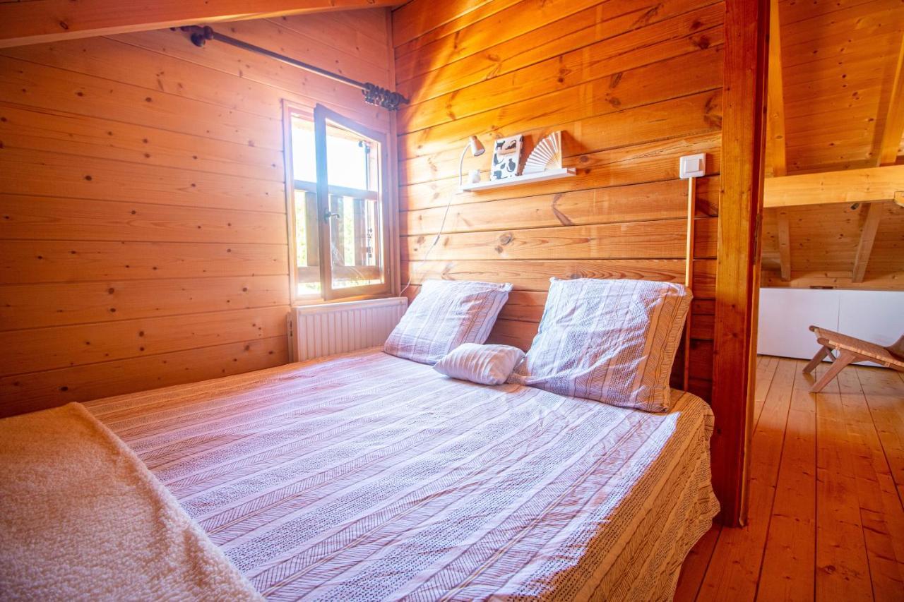 Chalet Du Bois Joli Saint-Laurent-en-Grandvaux Экстерьер фото