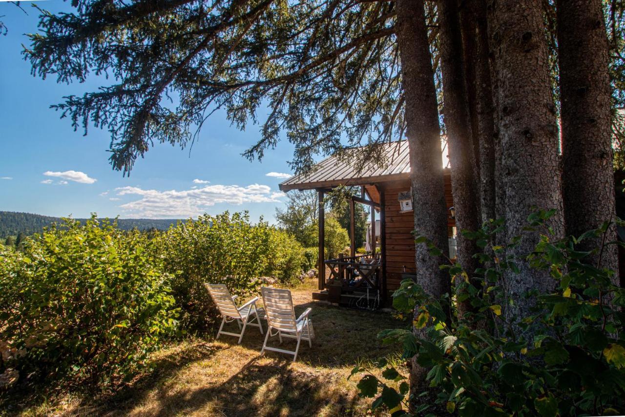 Chalet Du Bois Joli Saint-Laurent-en-Grandvaux Экстерьер фото