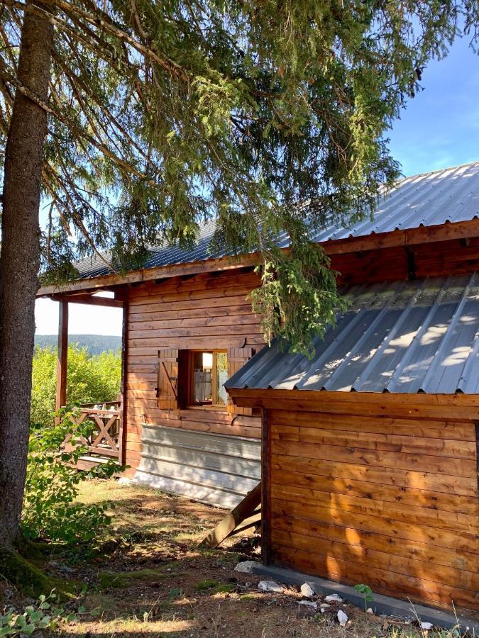 Chalet Du Bois Joli Saint-Laurent-en-Grandvaux Экстерьер фото