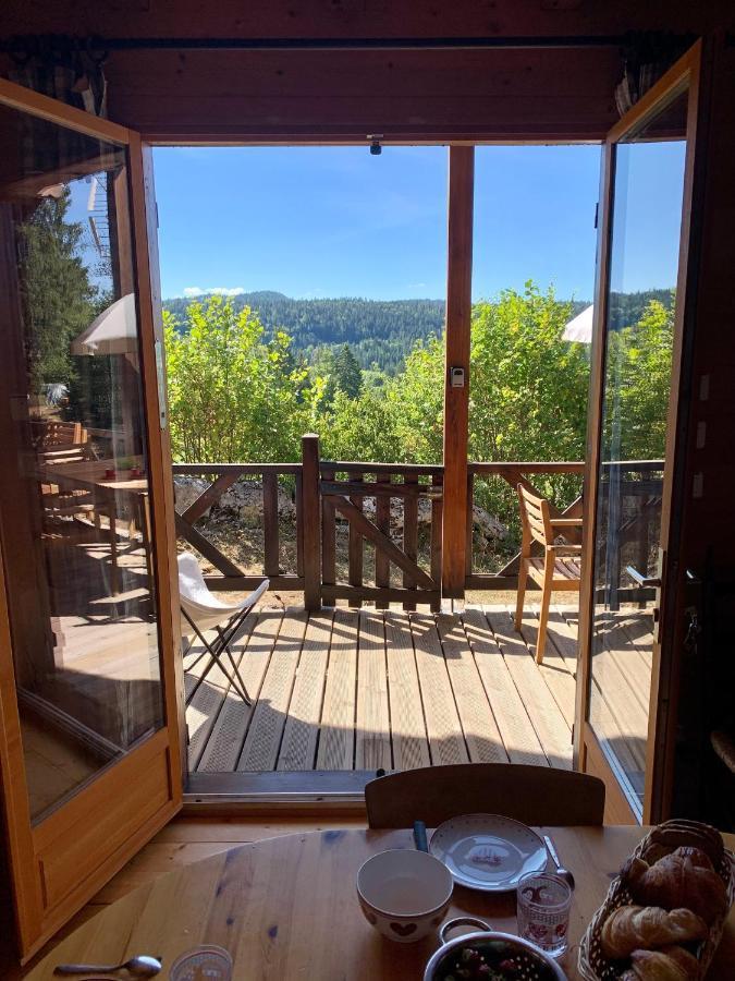 Chalet Du Bois Joli Saint-Laurent-en-Grandvaux Экстерьер фото