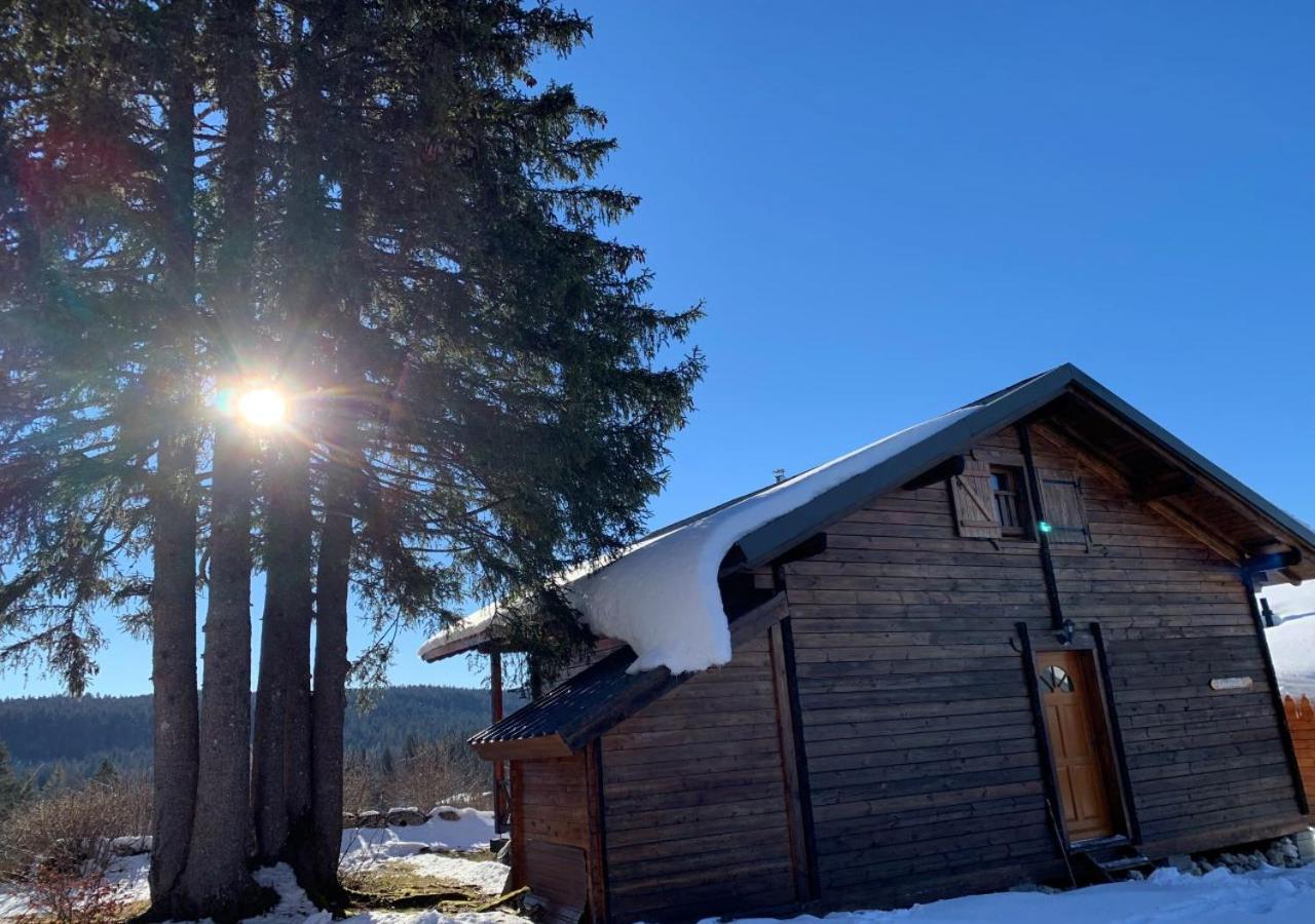 Chalet Du Bois Joli Saint-Laurent-en-Grandvaux Экстерьер фото