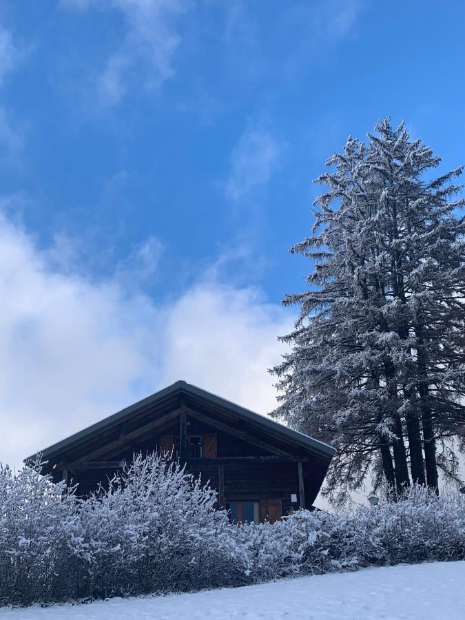 Chalet Du Bois Joli Saint-Laurent-en-Grandvaux Экстерьер фото