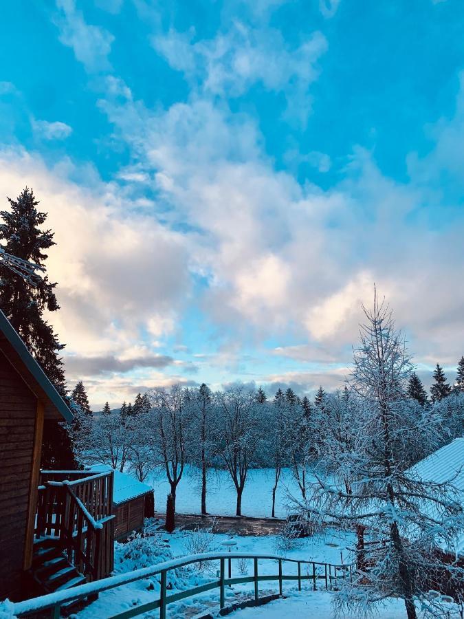 Chalet Du Bois Joli Saint-Laurent-en-Grandvaux Экстерьер фото
