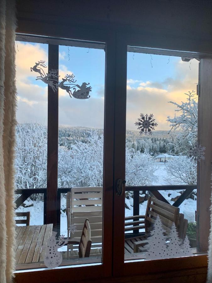 Chalet Du Bois Joli Saint-Laurent-en-Grandvaux Экстерьер фото
